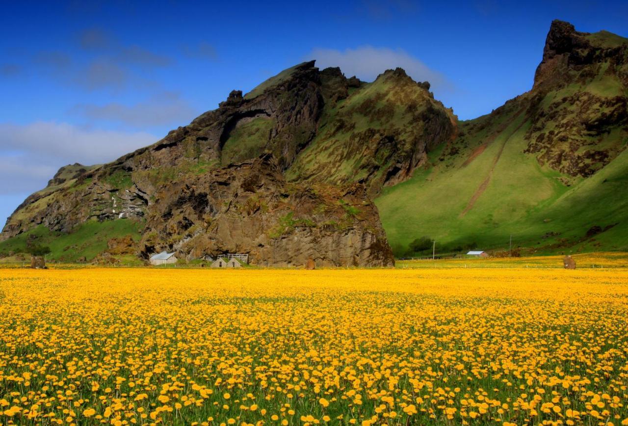 Cozy Cottage By Stay In Iceland Hvolsvöllur الغرفة الصورة